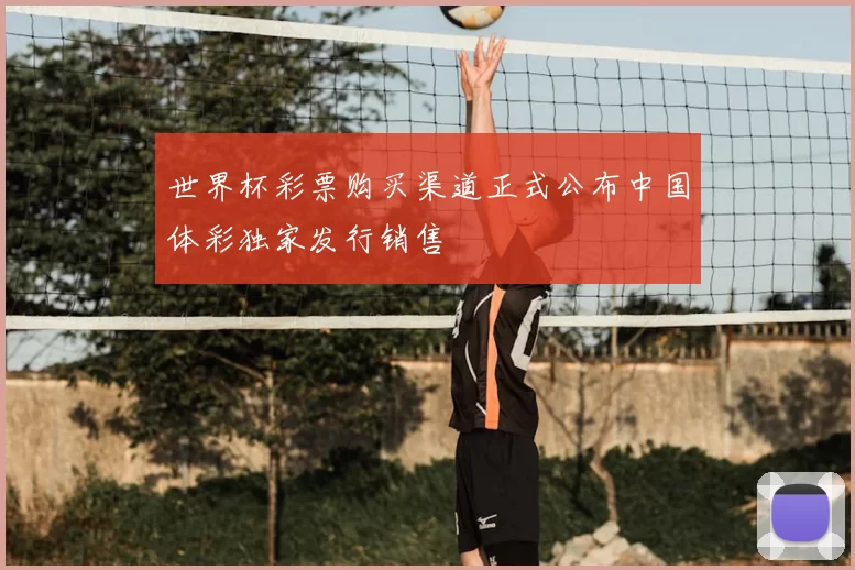 世界杯彩票购买渠道正式公布中国体彩独家发行销售