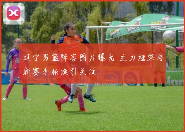 辽宁男篮阵容图片曝光 主力框架与新赛季轮换引关注